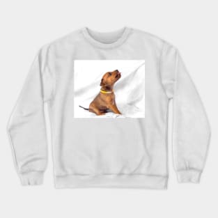 Miniature Pinscher puppy, 1 months old Crewneck Sweatshirt